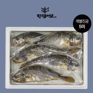 법성포 부세보리굴비 진공팩 5미/31-33cm(왕특대)