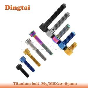 Dingtai 티타늄 볼트 M5M6x10 12 15 16 18 20 25 30 35 40 45 50 55 60 65mm MTB 도로 자전거 부품 용 원통