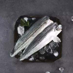 [제주직송] 제주 삼치살 왕특 1kg(2팩/팩당500g이상)