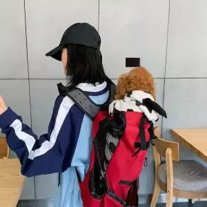 중형견 백팩 강아지 배낭 애완견 애견 반려동물용품 대형견 기내가방 반려견 산책가방