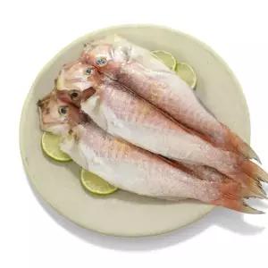 [제주직송] 제주 옥돔 프리미엄 4마리