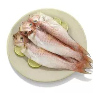 [제주직송] 제주 옥돔 프리미엄 6마리