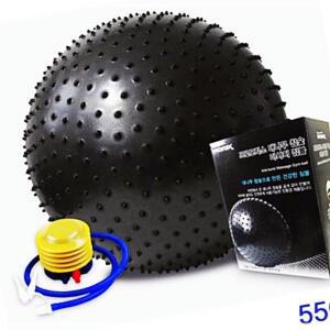 [2개구성] 55Cm 학원 프로모릭스 참숯 학교 관공서 짐볼 대나무 교실 마시지 스트레칭볼 ZW0928DB