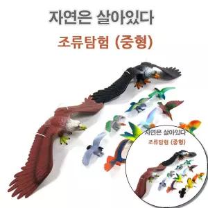 공룡 이종욱토이 자연은살아있다 (조류탐험) (중형)