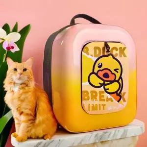 22823 이동가방 컬러 백팩_반려동물
