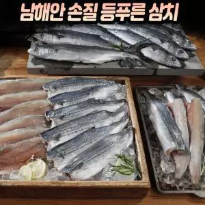 남해안 손질 등푸른 삼치 세척 자연산 개별포장 손질생선 반찬 국산 팔뚝삼치 홈쇼핑 생선 국내산 100%
