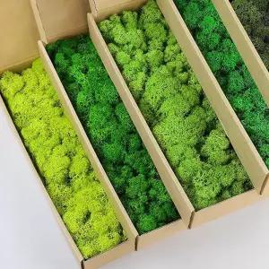 인공 녹색 식물 가짜 잔디 영원한 생명 이끼 Grassfor 홈 거실 정원 장식 미니 풍경 DIY 공예 200g