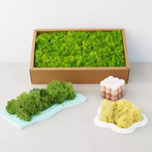 20g 인공 녹색 이끼 식물 영원한 생명 잔디 미니 풍경 가짜 DIY 공예 홈 거실 정원 장식