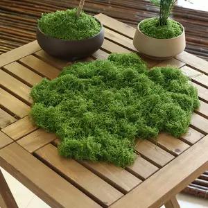 약 20g 인공 녹색 식물 폴리 에스터 이끼 잔디 홈 거실 정원 장식 미니 풍경 가짜 꽃 DIY 공예