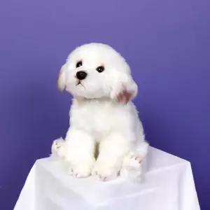 위더펫 리얼 강아지 인형 말티즈 캐릭터 선물 귀여운 장난감 패션