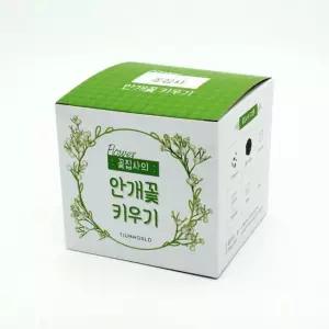 씨앗 학습준비물 식물키우기 안개꽃 꽃집사 키우기 생물 화분