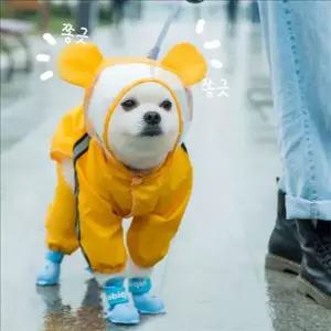 [RIZPICK]후드 강아지 방수 우비 귀 강아지 올인원 우비 산책용 반려견