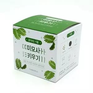 고품질 미모사 식물 반려 키우기 화분 힐링 어린이 움직이는 교육용 미모사씨앗 미모사키우기 WFO0AA6
