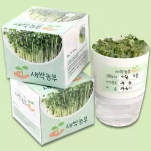 [행복사이소] 새싹 농부 (무순) 씨앗 잔디 인형 키우기 식물 키트 채소