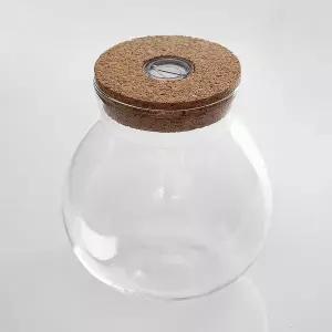 마리모 키우기 LED 유리병 꾸미기 코르크병 반려동물용품 반려용품