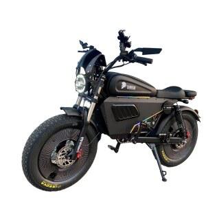 STLF RIDSTA Q20 커스텀 20AH 50KMECHATRONICSH 전기 1000W 성인용 오토바이 타이어 48V 20인치 전기자전거 산악자전거 전압 광폭