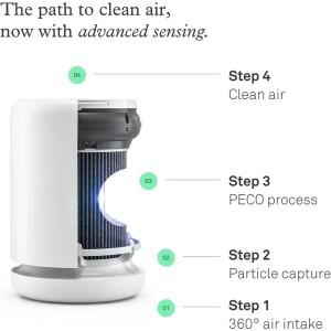 교체용 PECO 필터, Molekule Air Mini 및 + 공기 청정기, 실내 청결 유지