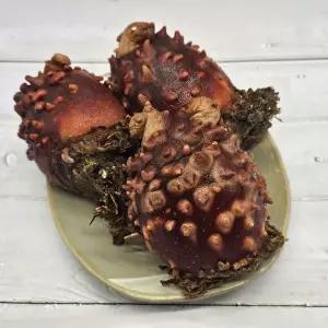 [장보리]자연산 제철 활멍게 참멍게 특대 1kg