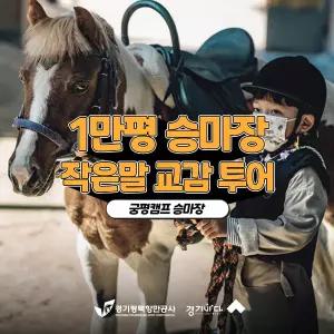 [2026 경기바다] 1만평 승마장 궁평캠프 작은말 교감 투어