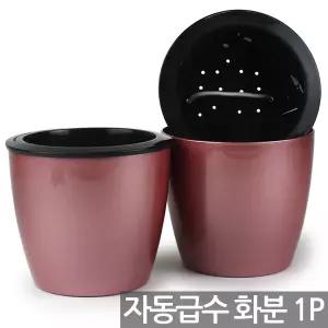 자동 급수 라운드 플라스틱 화분 - 중형화분 인테리어화분 예쁜화분 식물 둥근화분 저면관수화분 다육이 선