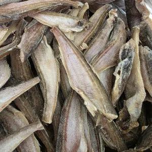 반건조 도루묵 300g(9~11미)