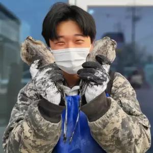 국내산 서해 자연산 횟감 갑오징어 대짜 1kg ( 1-3미 )