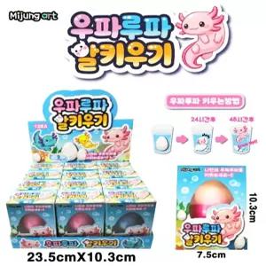 우파루파 알키우기 한박스-12개입 새우기르기 마리모 기르기 어린이 유치원 학원 단체 선물