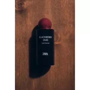ZARA 블랙베리 OUD PARFUM 트루00ML 3.38 oz