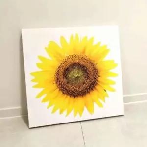 헌군 해바라기 큰 꽃송이 액자 풍수그림 해바라기포스터