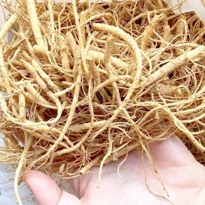 금산인삼 미삼 세척인삼 뿌리삼 파삼 미삼잔뿌리 1kg 선물세트 명절 시댁 가족 한가위 친정