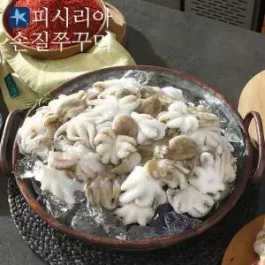 [정상가 39 900원][피시리아]자연산 손질 통 쭈꾸미 3팩 총 60마리