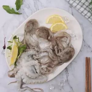 제철봄쭈꾸미(생물/급냉)1kg(9~13미)
