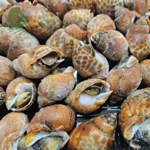 건담농수산 자숙 범고동 500G X 4 초장포함 캠핑술안주 간편식 여름별미