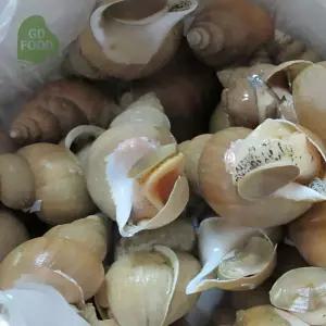 건담농수산 동해 자연산 활 백골뱅이 4KG 대 제철 캠핑메뉴 탕