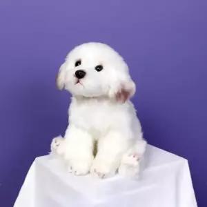 [룽스_65]위더펫 리얼 강아지 인형 반려견인형 말티즈