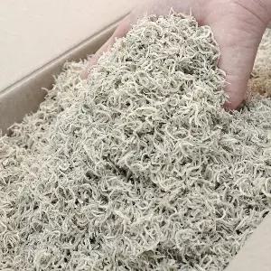 가락시장521 국내산 세세멸 지리멸치 1.5kg 대용량 볶음용 세멸 세멸치 아기멸치 잔멸치