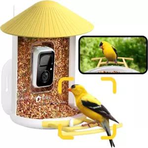 카메라가 장착된 Birdfy AI 스마트 버드 피더의 NETVUE 자동 포획 및 각 조류 방문 6000종 이상 식별
