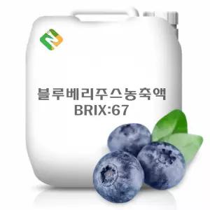 블루베리주스농축액 20kg Ekl54vZR