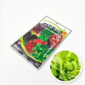 세계채소 상추 모듬 채소 씨앗 홈가드닝 원예 종자 텃밭화분 씨앗심기 (WE4D228)
