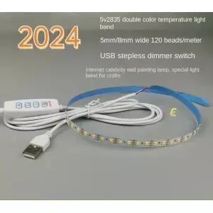 온도 2835 LED 스트립 가변 무전극 발광 페인트 2 색 USB 라이트 페인팅 5V