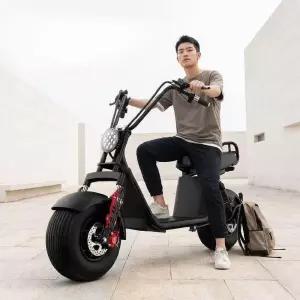 전기 자전거 자토바이 할리 타이어 전동 스쿠터 레저