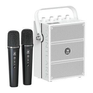 100W 강력한 스피커, 무선 마이크 2개 , 스피커 세트 지원 기타 입력 지원, 파티, 교육, 노래 S99를 위한 노래방 기계 음성 블루투스 PA 시스템