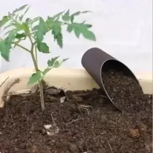 플라스틱 삽 양동이 즙이 많은 묘목 DIY 분재 식물 정원 도구 토양 화분에 심은 탱크 미니