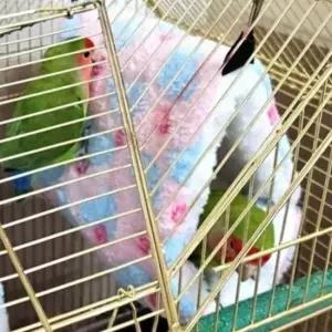 하트둥지 앵무새 포치 중 햄스터은신처 침대 포치 둥지 앵무새