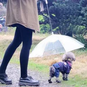 [하프클럽/알티피아]강아지 우산 반려동물 산책용 65cm
