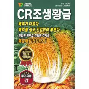 더드림 CR조생황금김장 배추씨앗 배추종자 / 뿌리혹병에 강한 CR계품종 배추씨 김장배