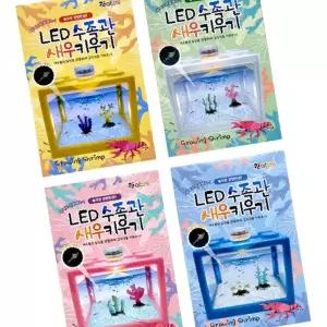 블럭어항 수족관 바다새우 LED 랜덤 새우키우기 LED어항