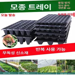 모종트레이 다육 채소 용기 육묘 파종