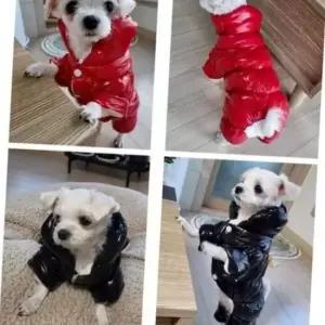 겨울용 반짝이 롱 애견 점퍼 외출용 강아지 패딩