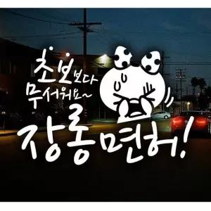 장롱면허 쁘띠 초보운전스티커-화이트 차량용스티커 초보운전스티커 (W495C0F)